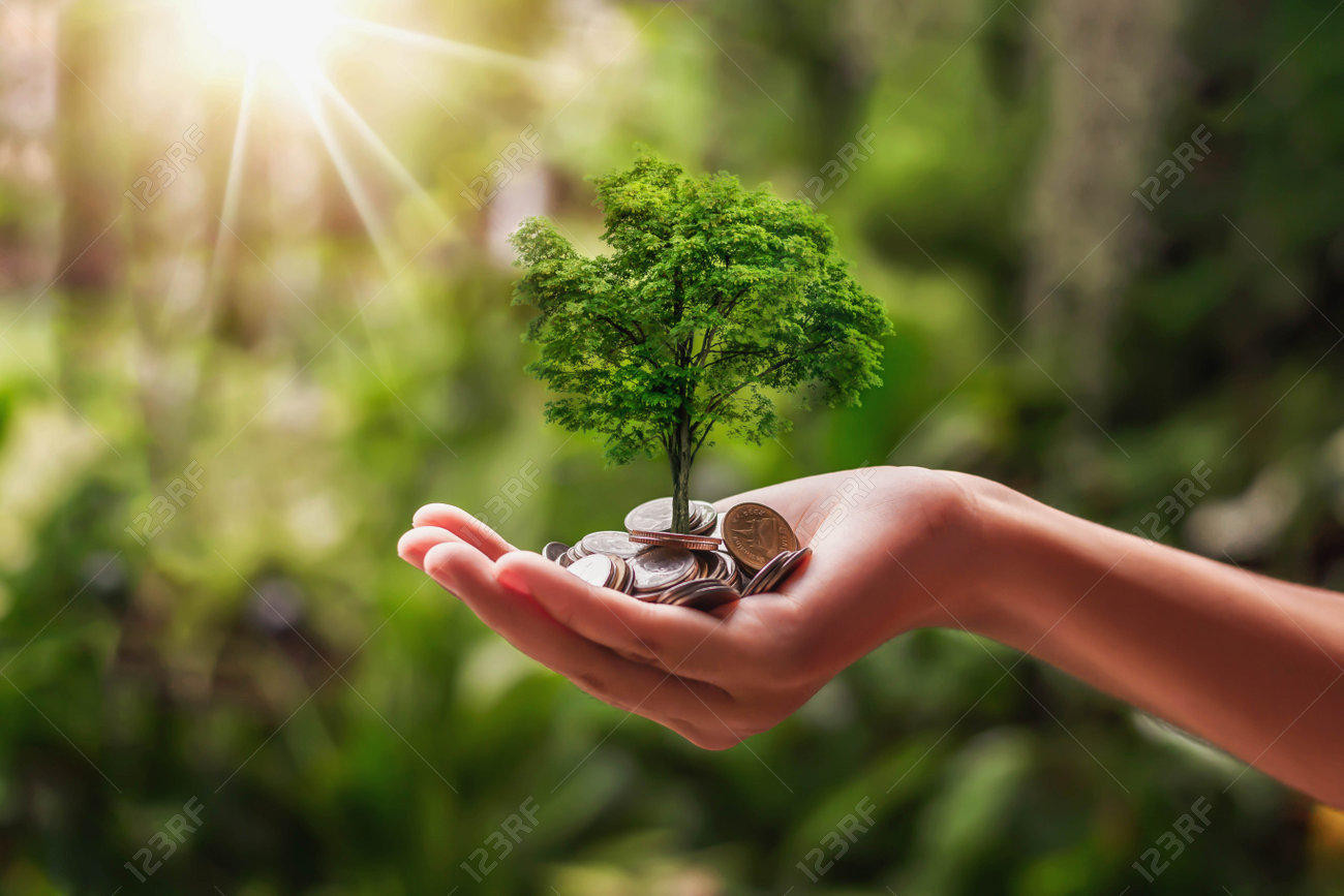 241790832-planting-crops-on-a-pile-of-coins-on-hand-investment-concepts-in-business
